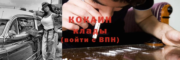 индика Арсеньев