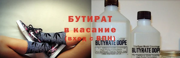 индика Арсеньев