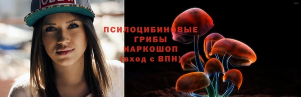 МДПВ Армянск