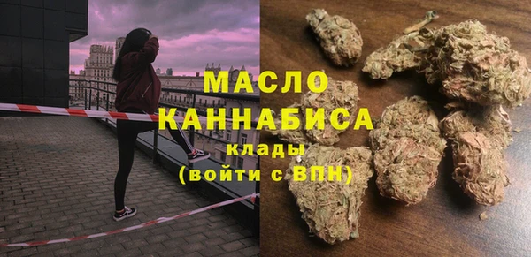индика Арсеньев