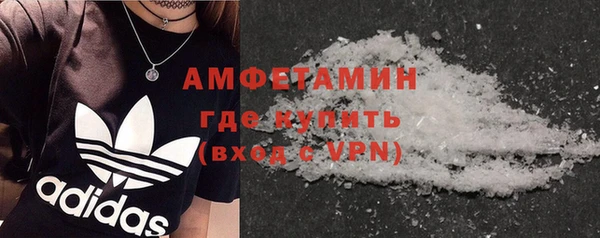 индика Арсеньев