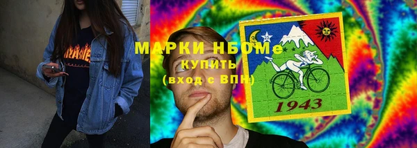 индика Арсеньев