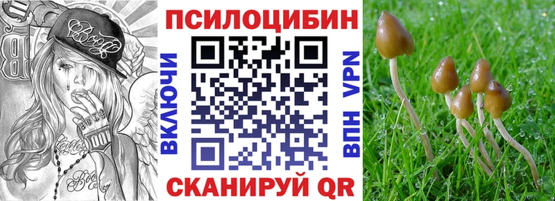 Псилоцибиновые грибы Psilocybe  Купить где  Долинск 